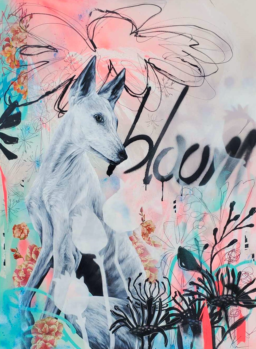 Bloom