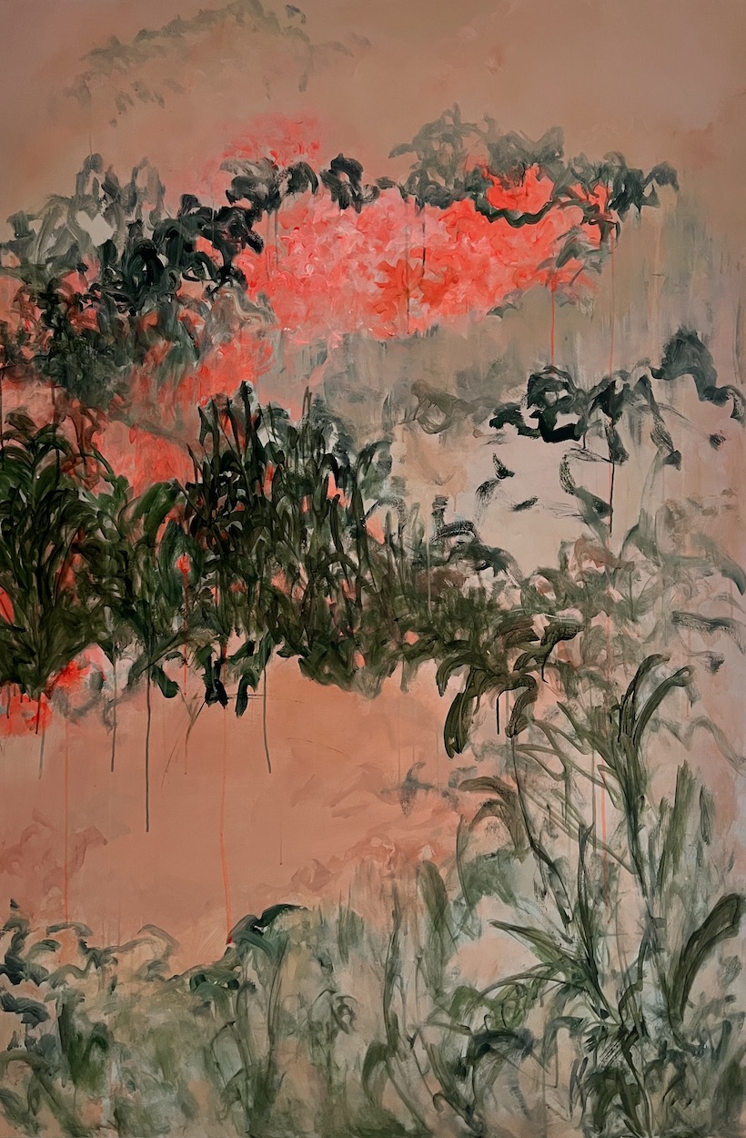 La lumière de l'aube
