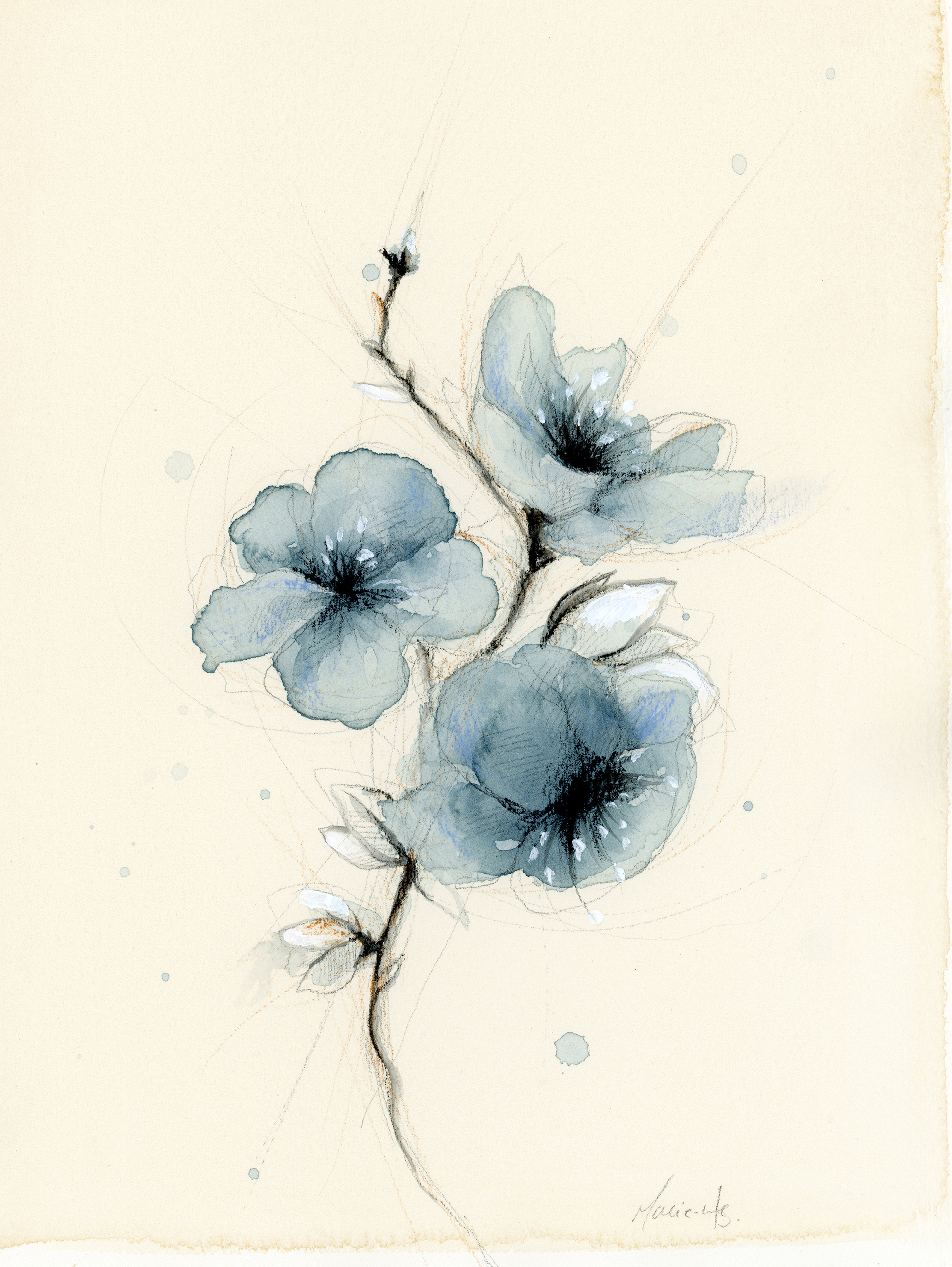 Azure cerisier 2