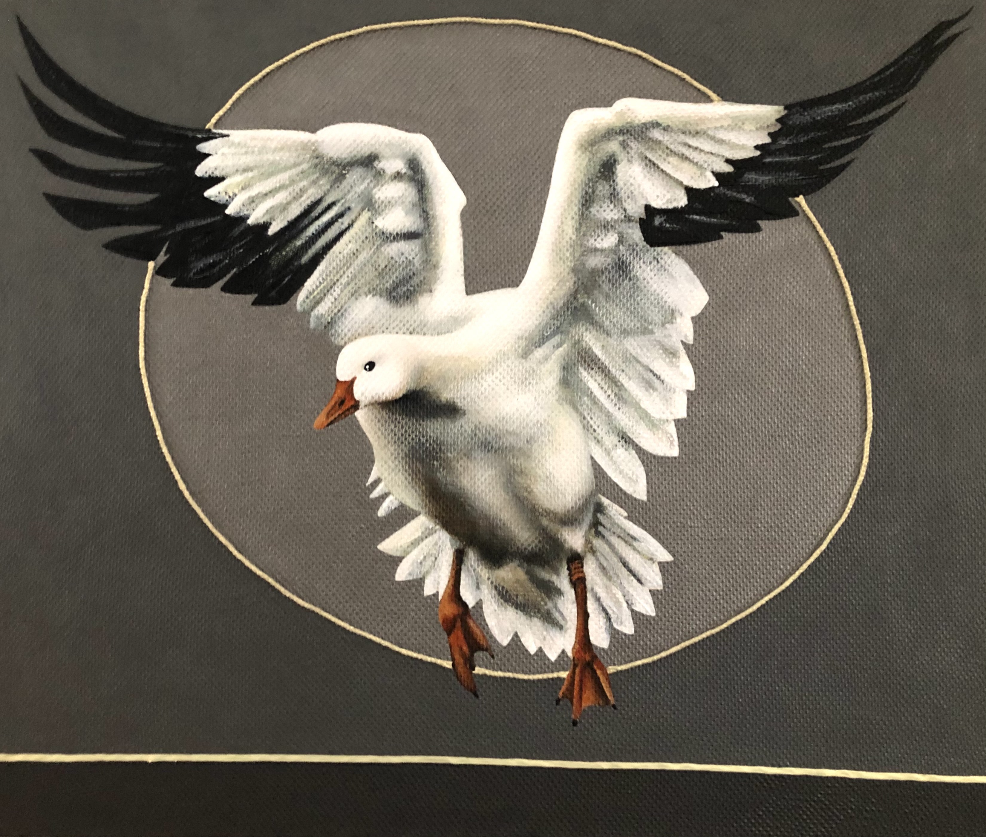 Liberté XI
