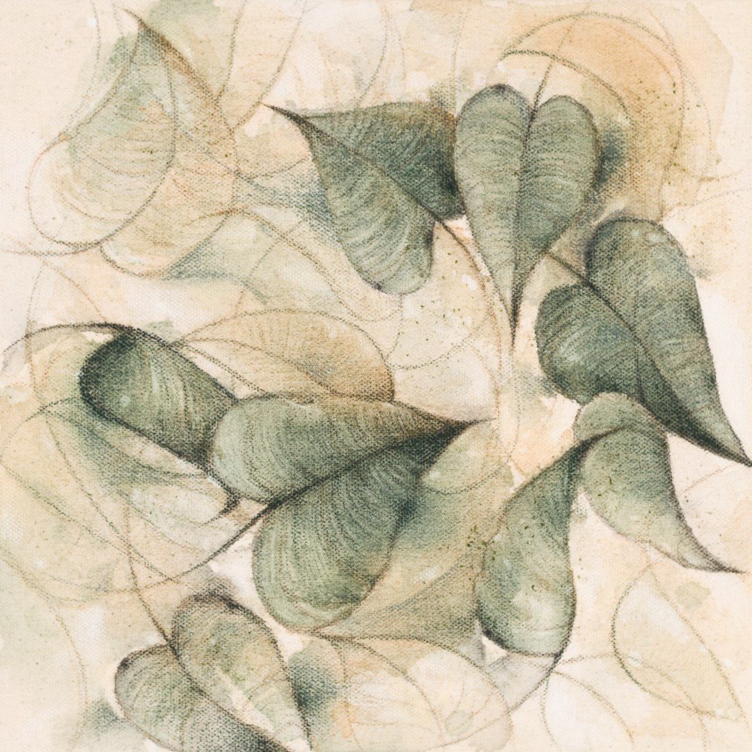 C3 - MHSM -Forêt nordique